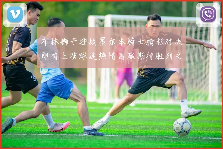 布林狮子迎战墨尔本骑士精彩对决即将上演球迷热情高涨期待胜利之战