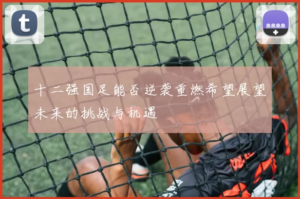 十二强国足能否逆袭重燃希望展望未来的挑战与机遇