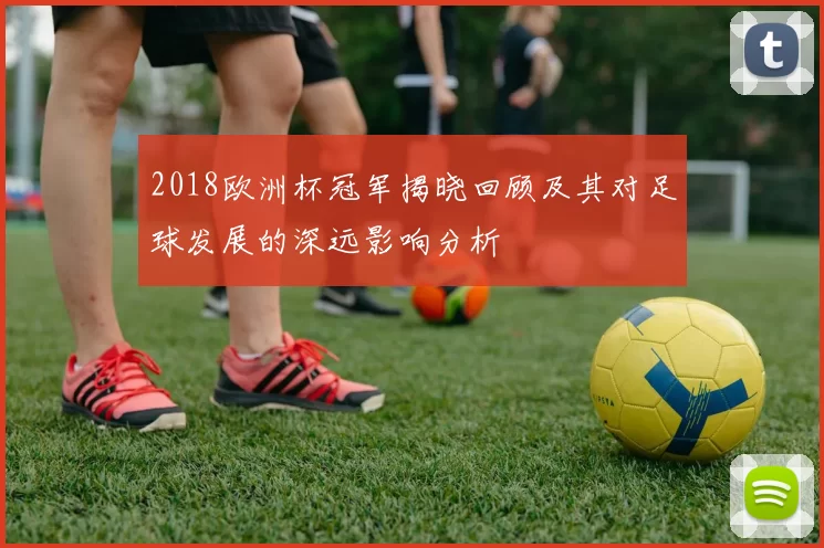 2018欧洲杯冠军揭晓回顾及其对足球发展的深远影响分析